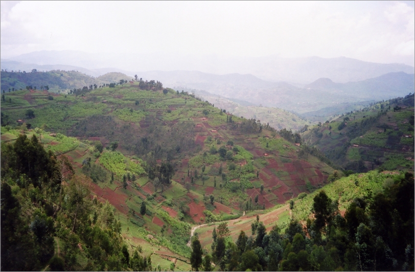 Landscape near Kibuye © Carina Tertsakian