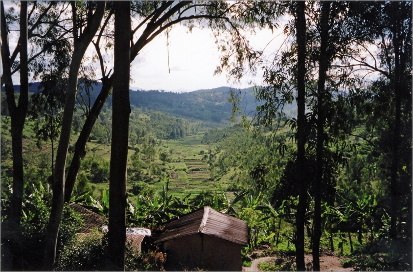 Paysage près de Gitarama © Carina Tertsakian