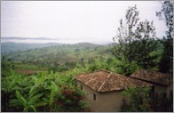 Landscape near Cyangugu